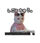 パフすたんぷ（個別スタンプ：2）