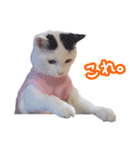 パフすたんぷ（個別スタンプ：3）