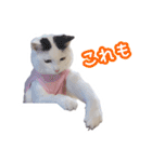 パフすたんぷ（個別スタンプ：4）