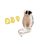 パフすたんぷ（個別スタンプ：5）