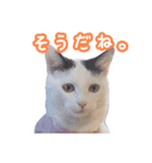 パフすたんぷ（個別スタンプ：6）
