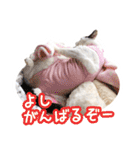 パフすたんぷ（個別スタンプ：12）