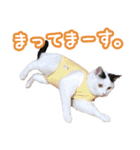 パフすたんぷ（個別スタンプ：14）