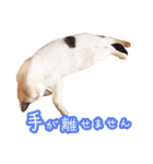 パフすたんぷ（個別スタンプ：20）