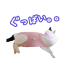 パフすたんぷ（個別スタンプ：25）