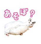 パフすたんぷ（個別スタンプ：33）