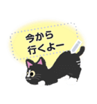 ねこちんの気ままな日々 メッセージ（個別スタンプ：19）