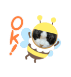 我が家にゃん3（個別スタンプ：4）