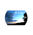 私の撮したお気に入りハッピースタンプ（個別スタンプ：6）