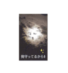 私の撮したお気に入りハッピースタンプ（個別スタンプ：8）