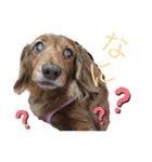 ぷーちょこみるひめ2（個別スタンプ：2）