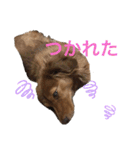 ぷーちょこみるひめ2（個別スタンプ：3）