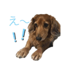 ぷーちょこみるひめ2（個別スタンプ：4）
