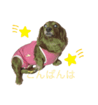 ぷーちょこみるひめ2（個別スタンプ：7）