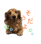 ぷーちょこみるひめ2（個別スタンプ：8）
