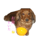 ぷーちょこみるひめ2（個別スタンプ：9）