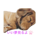 ぷーちょこみるひめ2（個別スタンプ：12）