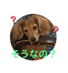 ぷーちょこみるひめ2（個別スタンプ：13）