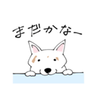こゆきちゃんのスタンプ2020（個別スタンプ：3）