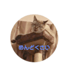 ぷりんすの日常（個別スタンプ：3）