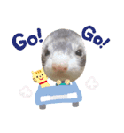 ふぇれはむず8（個別スタンプ：8）