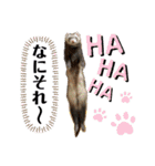 ふぇれはむず8（個別スタンプ：13）