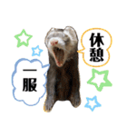 ふぇれはむず8（個別スタンプ：14）