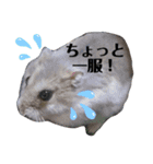 ふぇれはむず8（個別スタンプ：18）