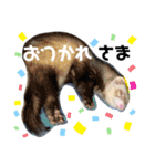 ふぇれはむず8（個別スタンプ：20）