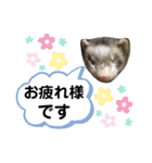 ふぇれはむず8（個別スタンプ：23）