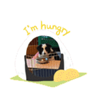 ケロレオ11（個別スタンプ：8）