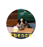 ケロレオ11（個別スタンプ：28）