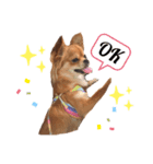 愛犬チワワのゆず（個別スタンプ：8）