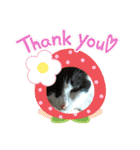猫のプッチとみかん7（個別スタンプ：3）