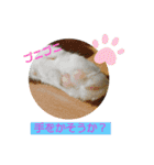猫のプッチとみかん7（個別スタンプ：7）