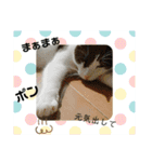 猫のプッチとみかん7（個別スタンプ：10）