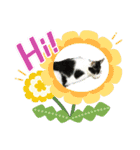 猫のプッチとみかん7（個別スタンプ：13）