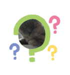 猫のプッチとみかん7（個別スタンプ：14）