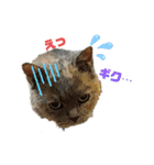 猫のプッチとみかん7（個別スタンプ：17）