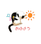 猫のプッチとみかん7（個別スタンプ：20）