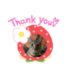 そうせきSTAMP（個別スタンプ：8）