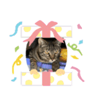 そうせきSTAMP（個別スタンプ：9）