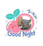 そうせきSTAMP（個別スタンプ：13）