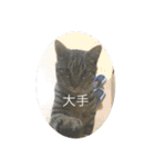 そうせきSTAMP（個別スタンプ：20）