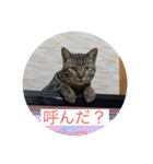 そうせきSTAMP（個別スタンプ：22）
