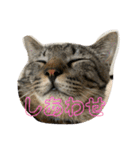 そうせきSTAMP（個別スタンプ：35）