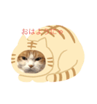 猫 ミルコのスタンプ（個別スタンプ：2）