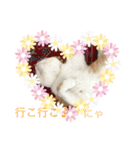 猫 ミルコのスタンプ（個別スタンプ：3）