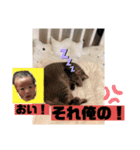 悠スタンプ1（個別スタンプ：6）