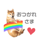 そいそいっ（個別スタンプ：9）